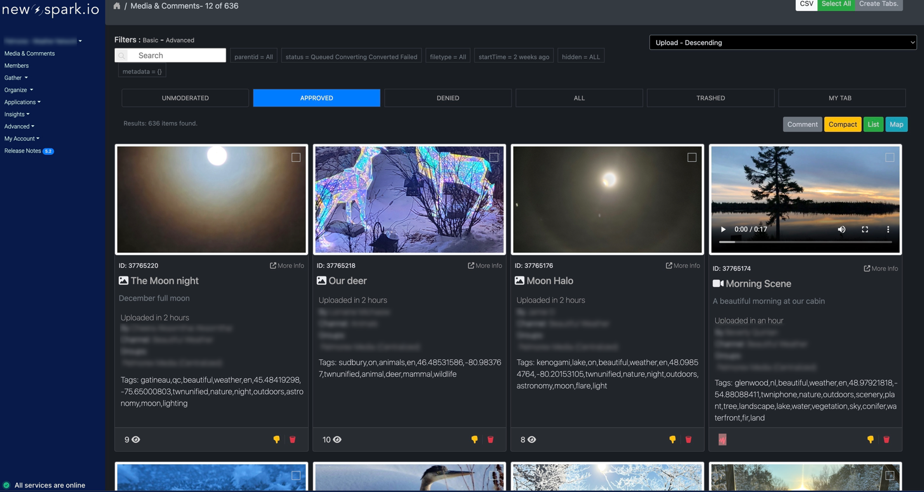 Content library interface